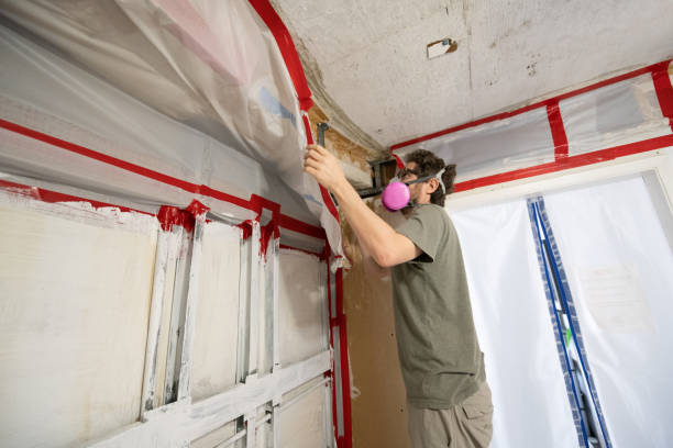 Best Asbestos and Lead Testing During Mold Inspection  in Harlan, KY