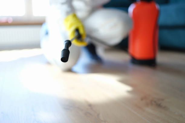 Biohazard Mold Removal in Harlan, KY