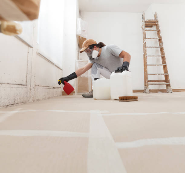  Harlan, KY Mold Removal Pros